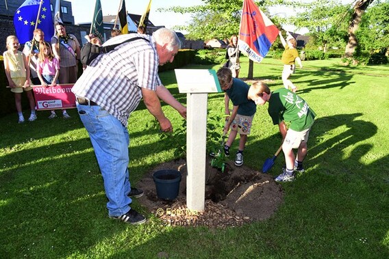Raf en Felix mochten de meiboom in de tuin plaatsen.- Foto Marc Colpaert