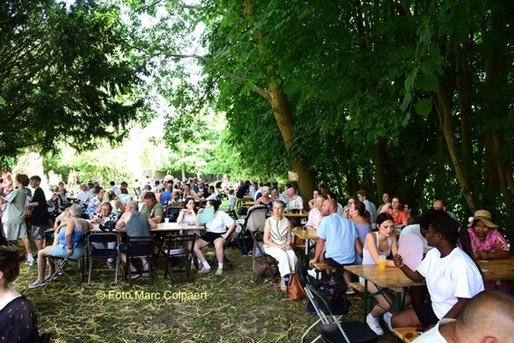 Gezellig samen onder de bomen.- Foto marc colpaert