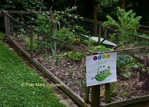 Genieten van de tuin.- Foto Marc Colpaert