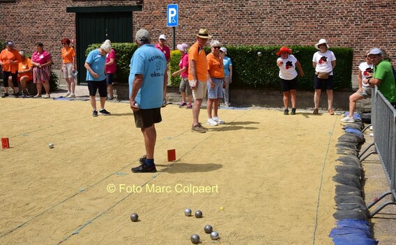 Zoek de petanquebal.- Foto Marc Colpaert