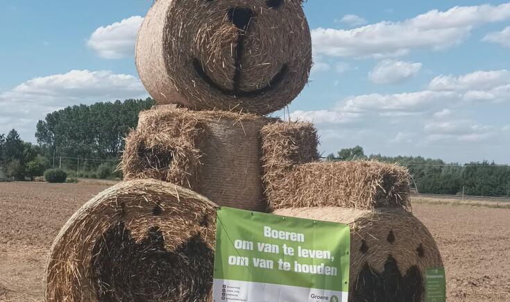 De stropop
