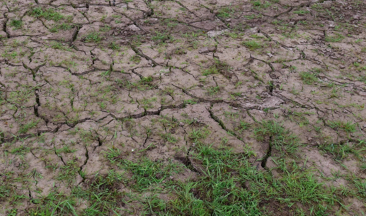 droogte