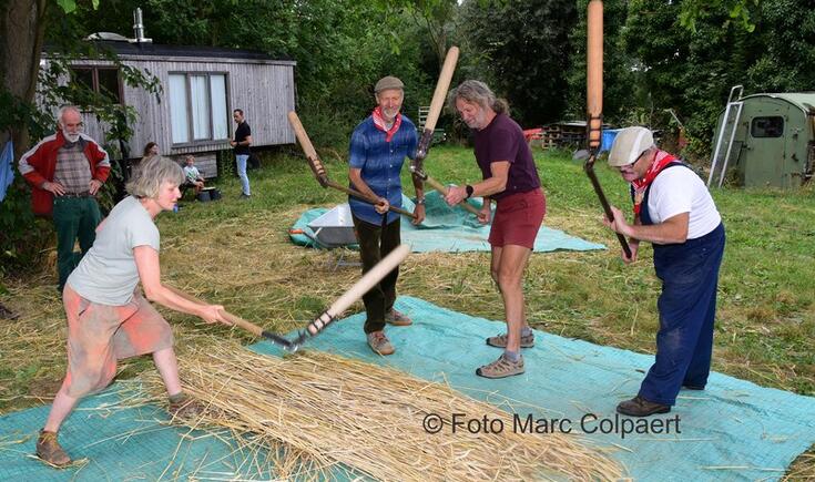 Dorsen