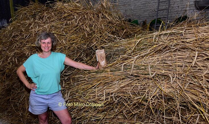 Graan dorsen met Justine 