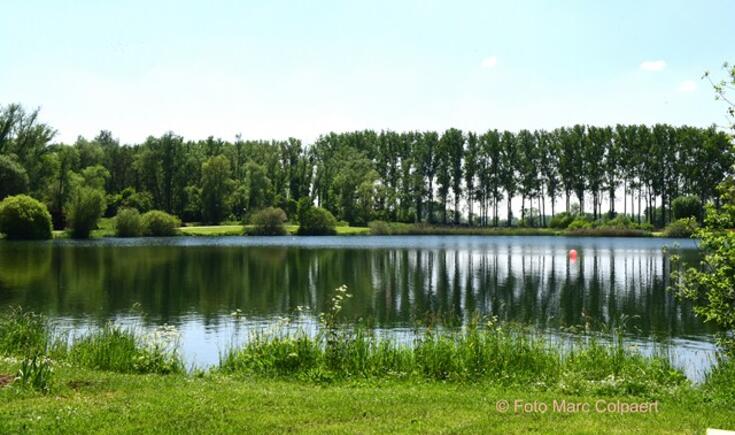 De Gavers