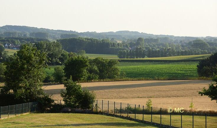 Natuur