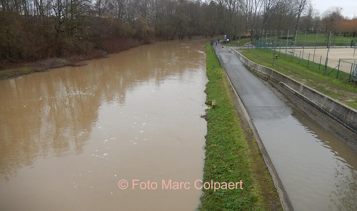 ninove