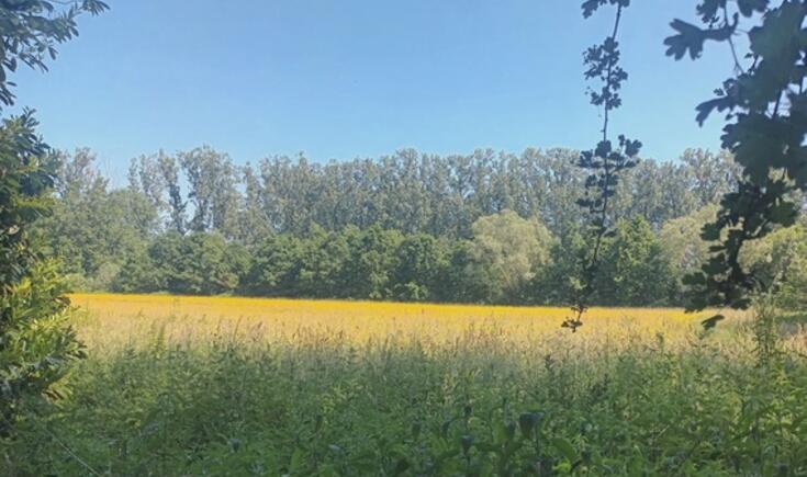 Wandelen in de mooie natuur.- Foto Marc Colpaert