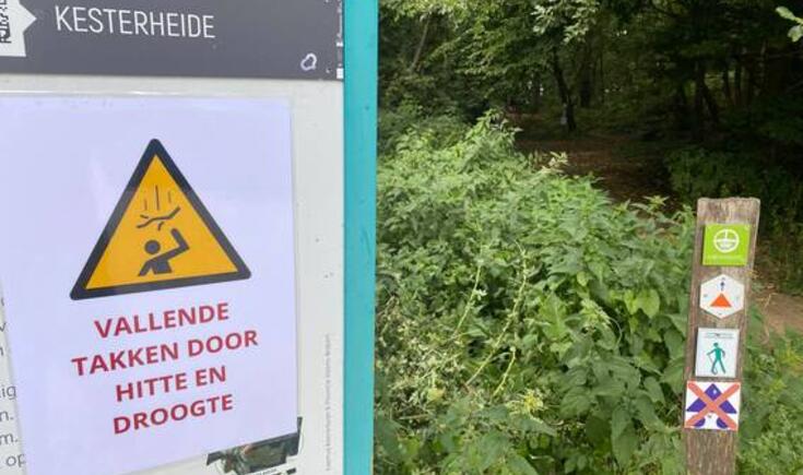 ingezonden foto