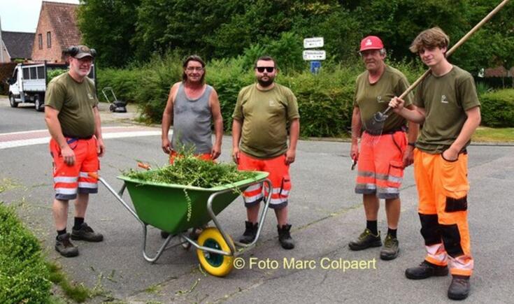 Mike, Philip, Mats, Franky en jobstudent Sam aan het werk in de Flieterkouter.- Foto Marc Colpaert