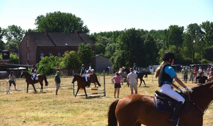 Dit weekend paardensport in Tollembeek.- Foto Marc Colpaert