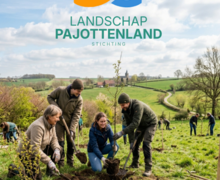 pajottenland