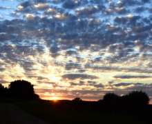 natuur