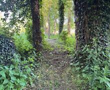 bomen
