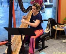 Harp