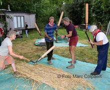 Dorsen