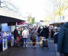 ninove