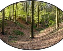 neigem