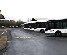 Neem op 25 mei de bus om naar de jaarmarkt te komen.  Foto Marc Colpaert