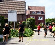 Tal van wandelaars.- Foto Marc Colpaert