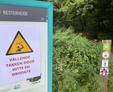 ingezonden foto