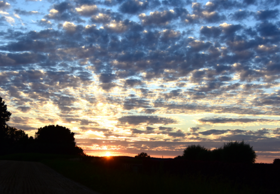 natuur