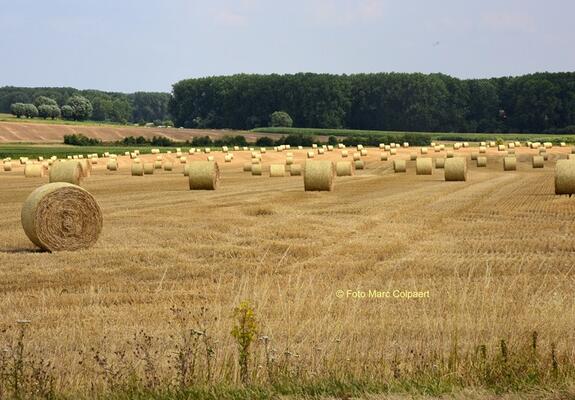 natuur in Vollezele