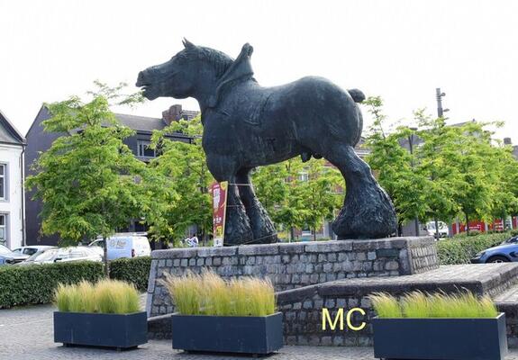 paard