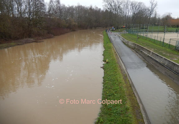 ninove