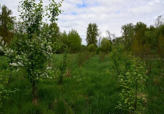 Kom genieten van de natuur .- Foto Marc Colpaert
