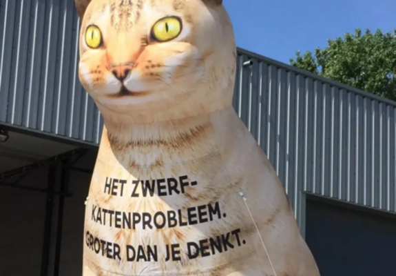 foto Vlaamse overheid