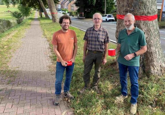 Alwin Loeckx Lode Dehantschutter en Luc Luyckx van Groen Pajottegem bij de bedreigde bomen