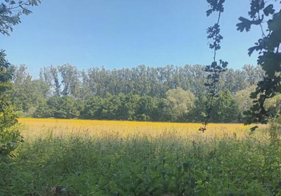 Wandelen in de mooie natuur.- Foto Marc Colpaert