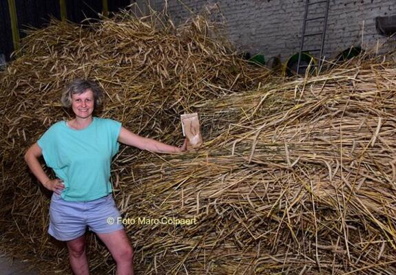Justine naast een berg graanrassen.- Foto Marc Colpaert