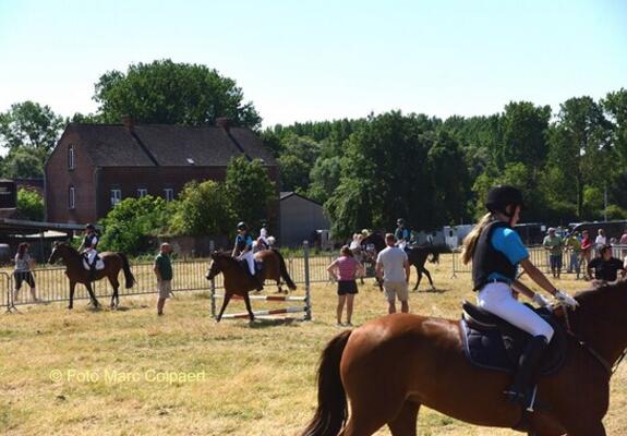 Dit weekend paardensport in Tollembeek.- Foto Marc Colpaert