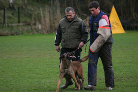 2008-03-16hondenvriendwillyappelmans3