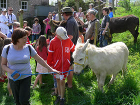 Ezelfeest_pede_3