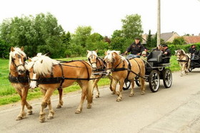 Paardenprocessie_kester_foto_marcel_brisaert_editiepajot__2_