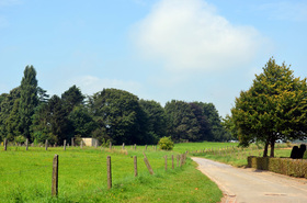Editiepajot-ingezonden-foto-natuurwandeling-hamme-16092014