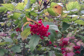 2014-10-05_16