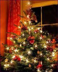 Kerstboom