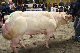 2014-01-25_interprovinciale_fokveebeurs_012a