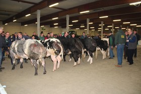 2014-01-25_interprovinciale_fokveebeurs_039a