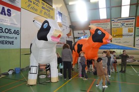 Karnaval_bever_2015___1_