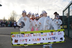 Karnaval_bever_2015___15_