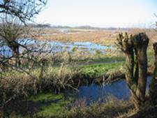 Natuurpuntwandelinggent