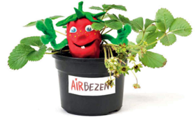 Editiepajot_pepingen_aardbeien
