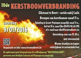 Editiepajot_pepingen_kerstboom