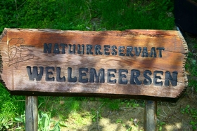 2016-05-22nde_wellemeersen