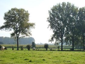 Natuurgebied_dokkene